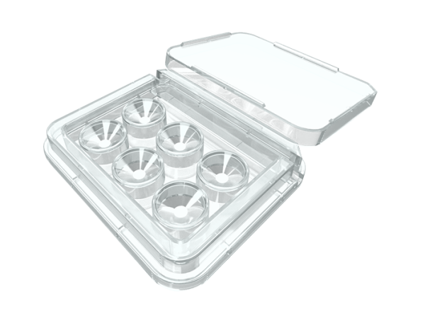 Oosafe® 6 Well Dish